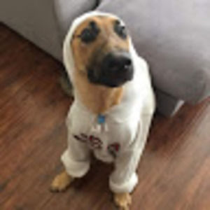 Meet your Posher, Isabella